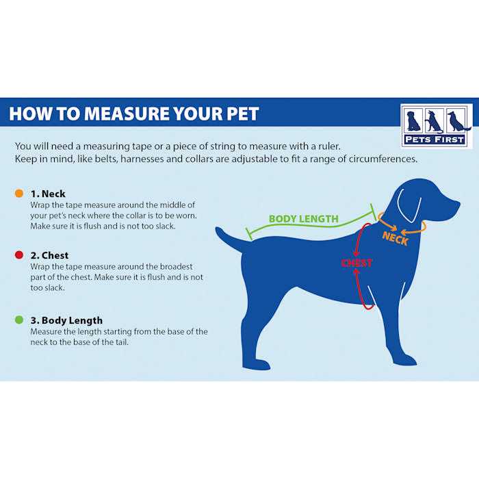 Pet Dog Collar M510