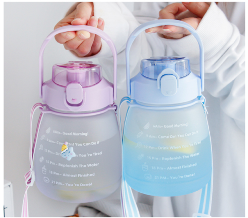 1.3L Water Bottle With Straw D12079