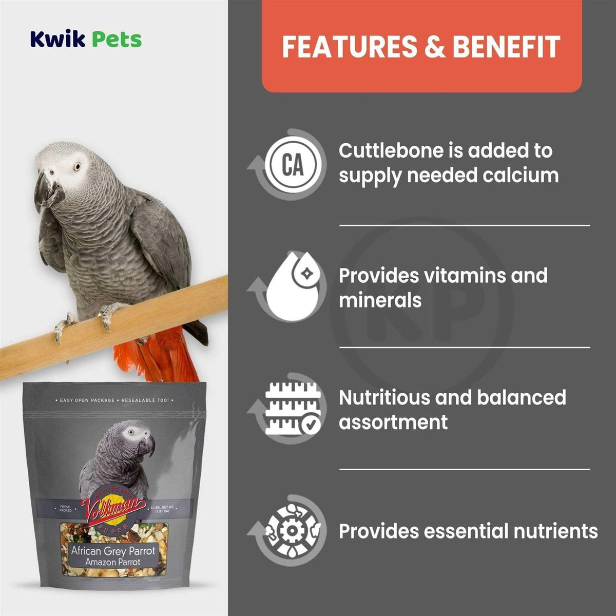 African Grey G787727