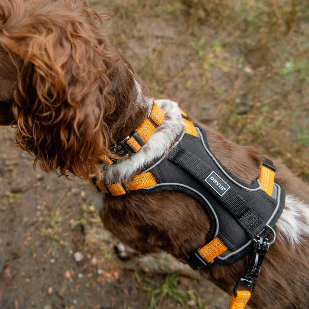 Dog Harness A941