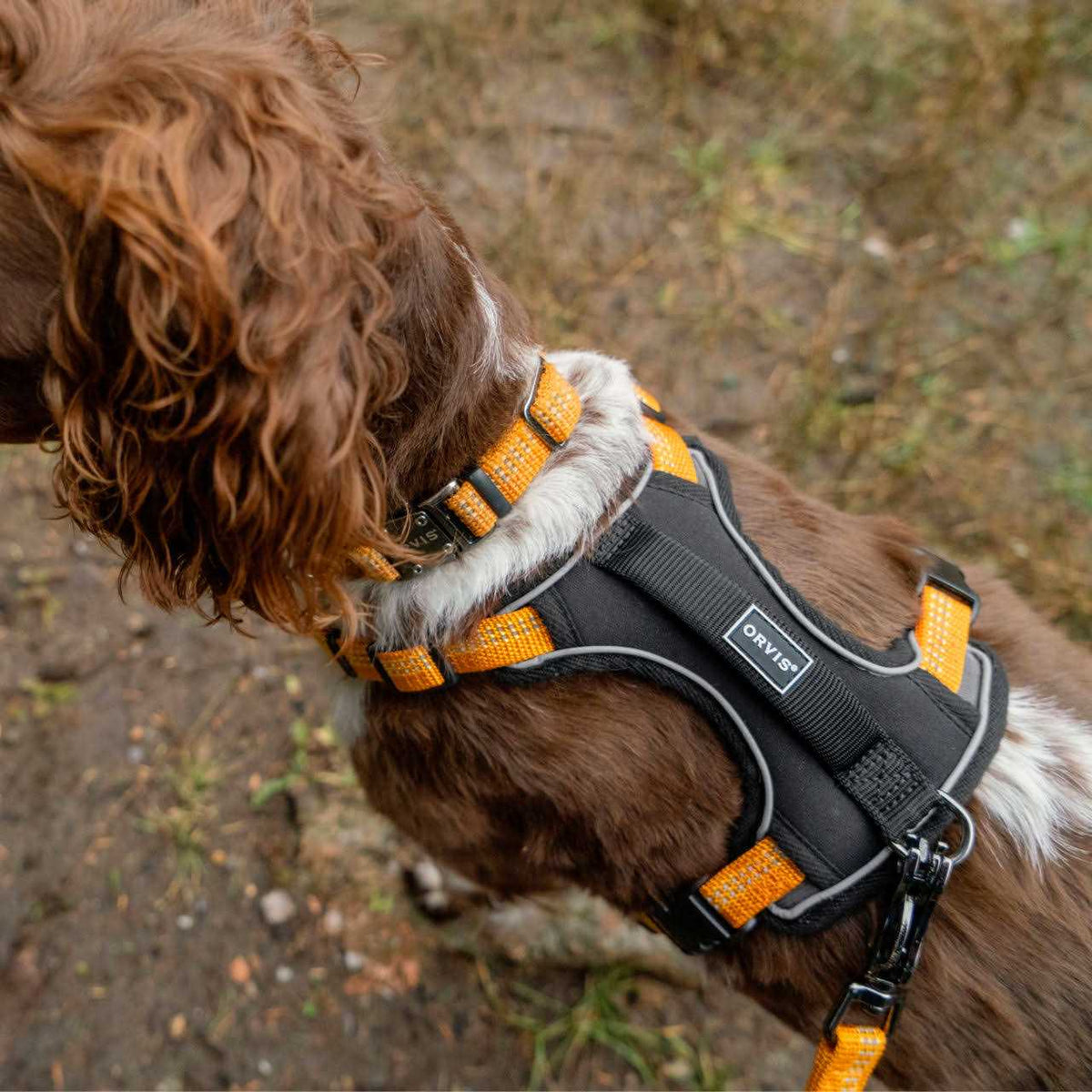 Dog Harness A941