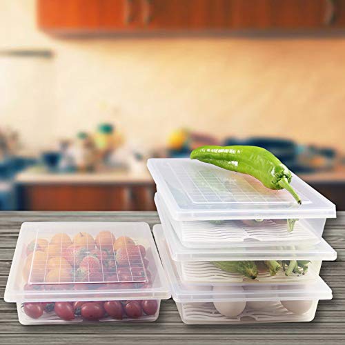 Plastic Food Storage Containers with Removable Drain Plate and Lid, Stackable (4, Large) T3827