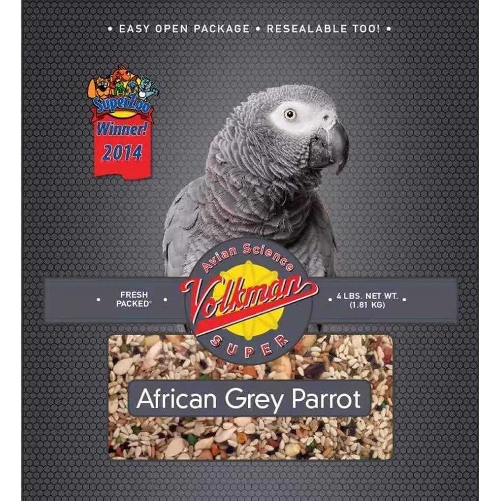 African Grey G787727