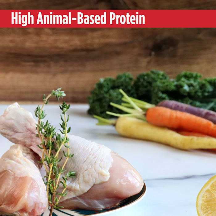 Bone Broth Wet Dog & Cat Food Topper N746