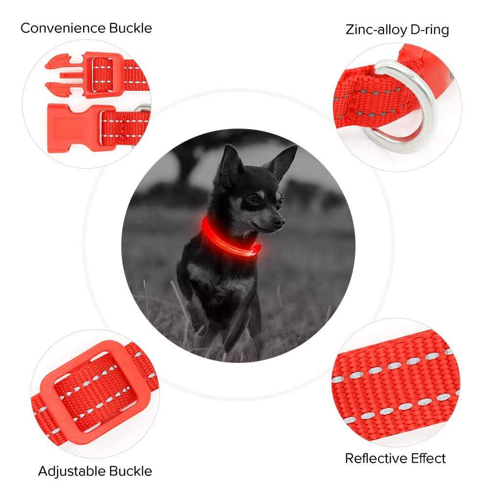 Light Rechargeable LED Dog Collar N8225