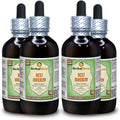 Sophora Flavescens Alcohol-Free Liquid Extract 4x120 ml I13696
