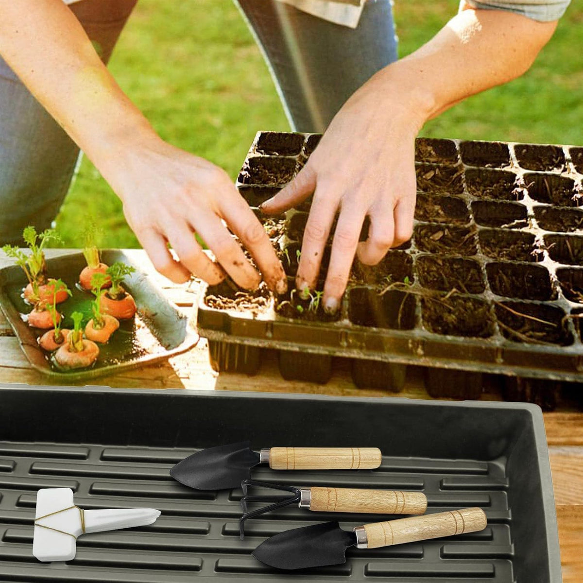 18 Pcs Seed Starter Tray with Base Tray, 72 Cells, No Drain Holes, Pack of 2 W534