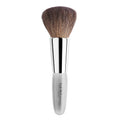 Brush 5 Powder O93273