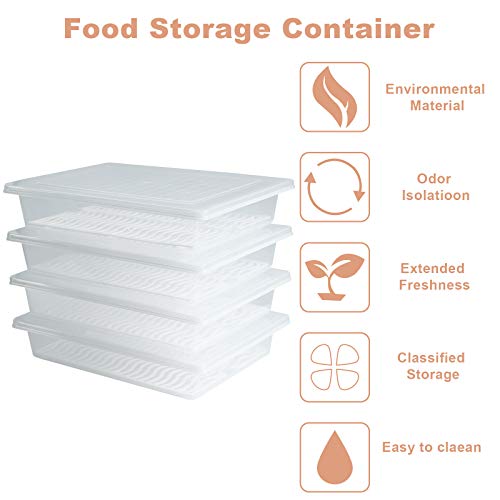Plastic Food Storage Containers with Removable Drain Plate and Lid, Stackable (4, Large) T3827