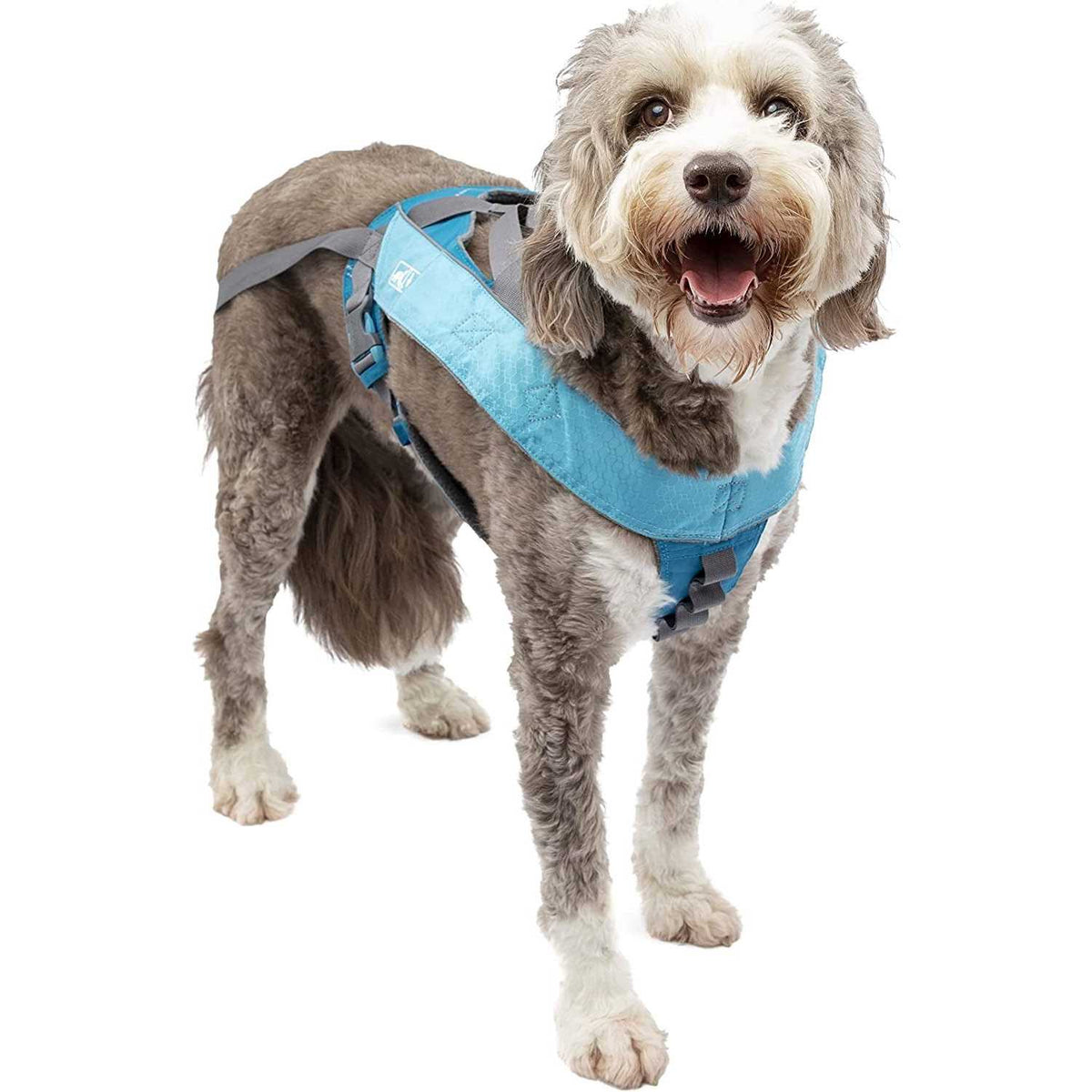 Dog Harness D89935
