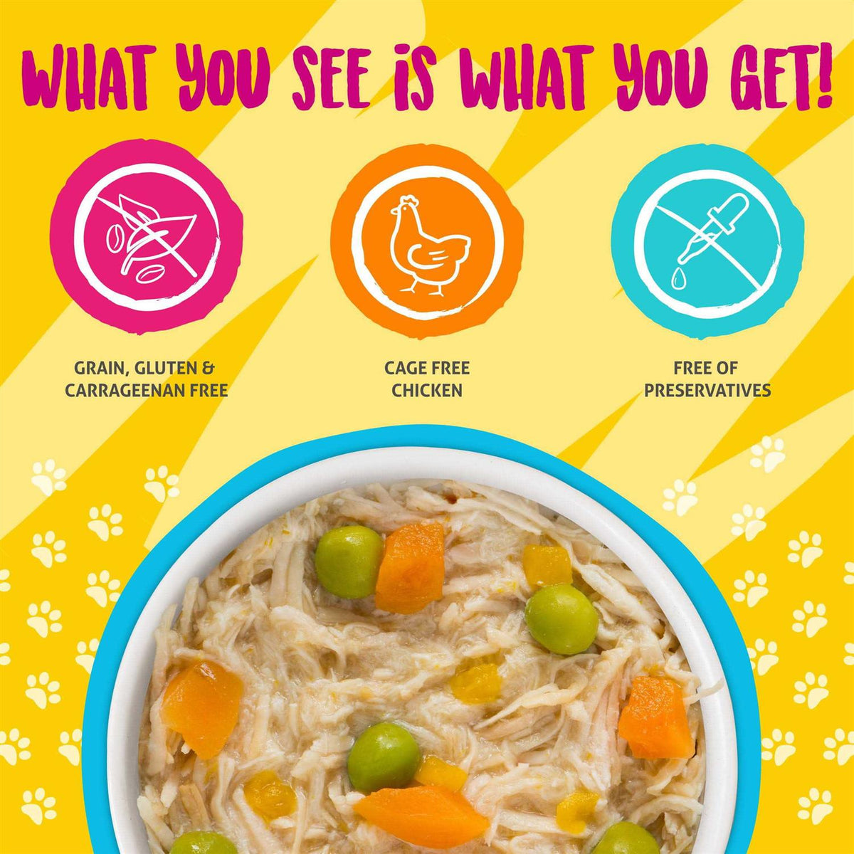 Chicken Soup Cat Food V717