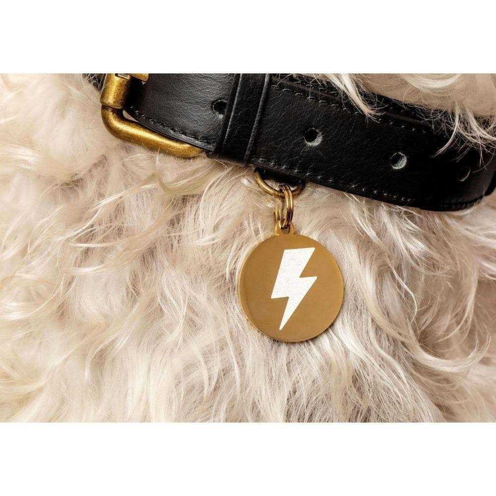 Lightning Bolt Pet ID Tag O770240