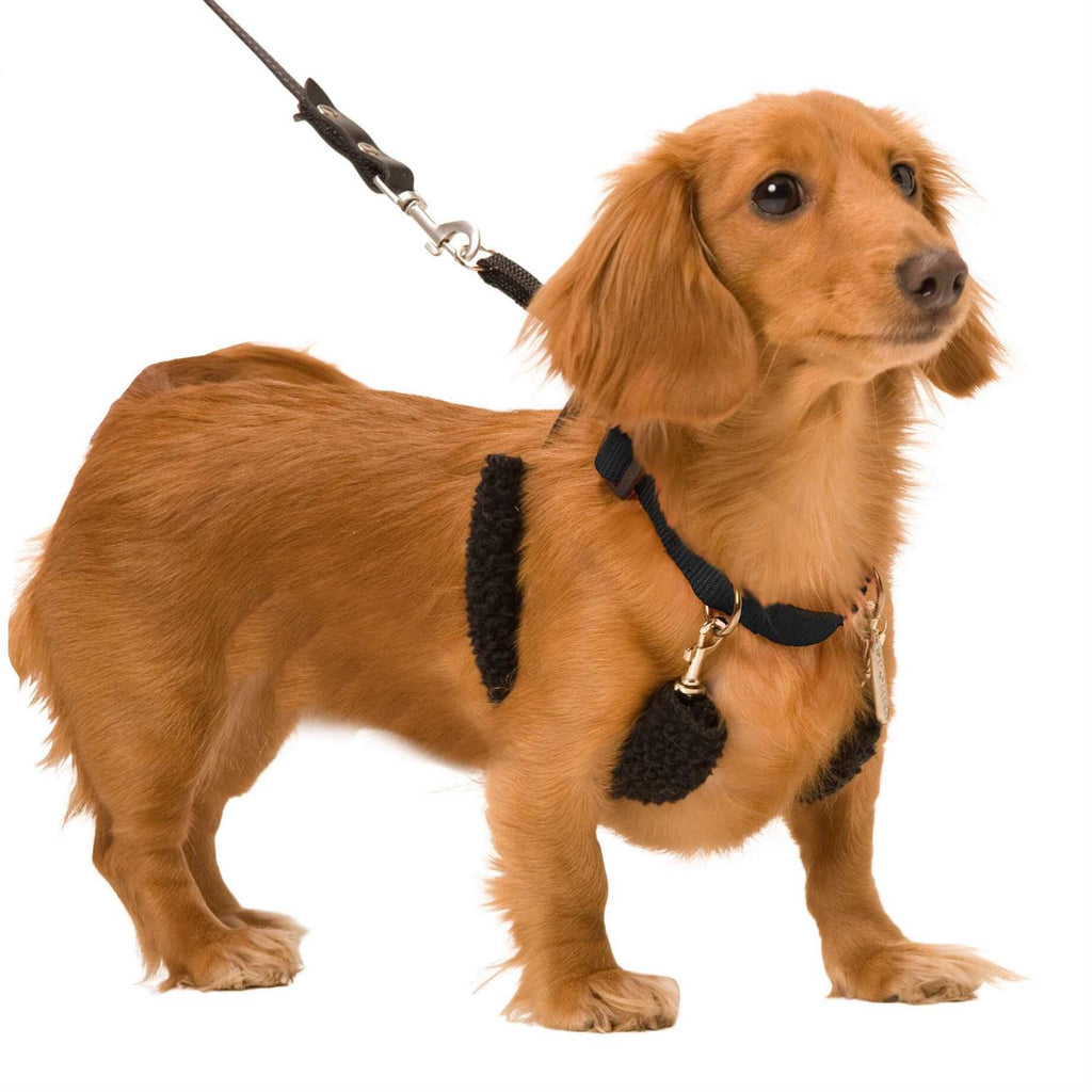 Halter M19156