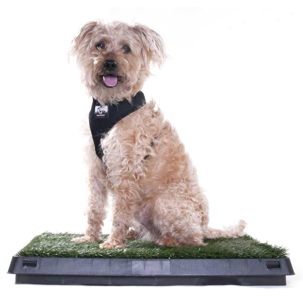 Dog Grass Pad with Tray Y2803