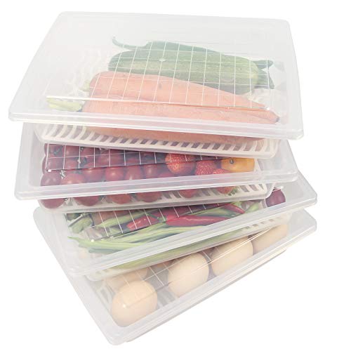 Plastic Food Storage Containers with Removable Drain Plate and Lid, Stackable (4, Large) T3827