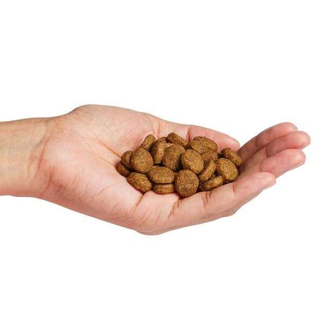 Salmon Dry Dog Food K25815