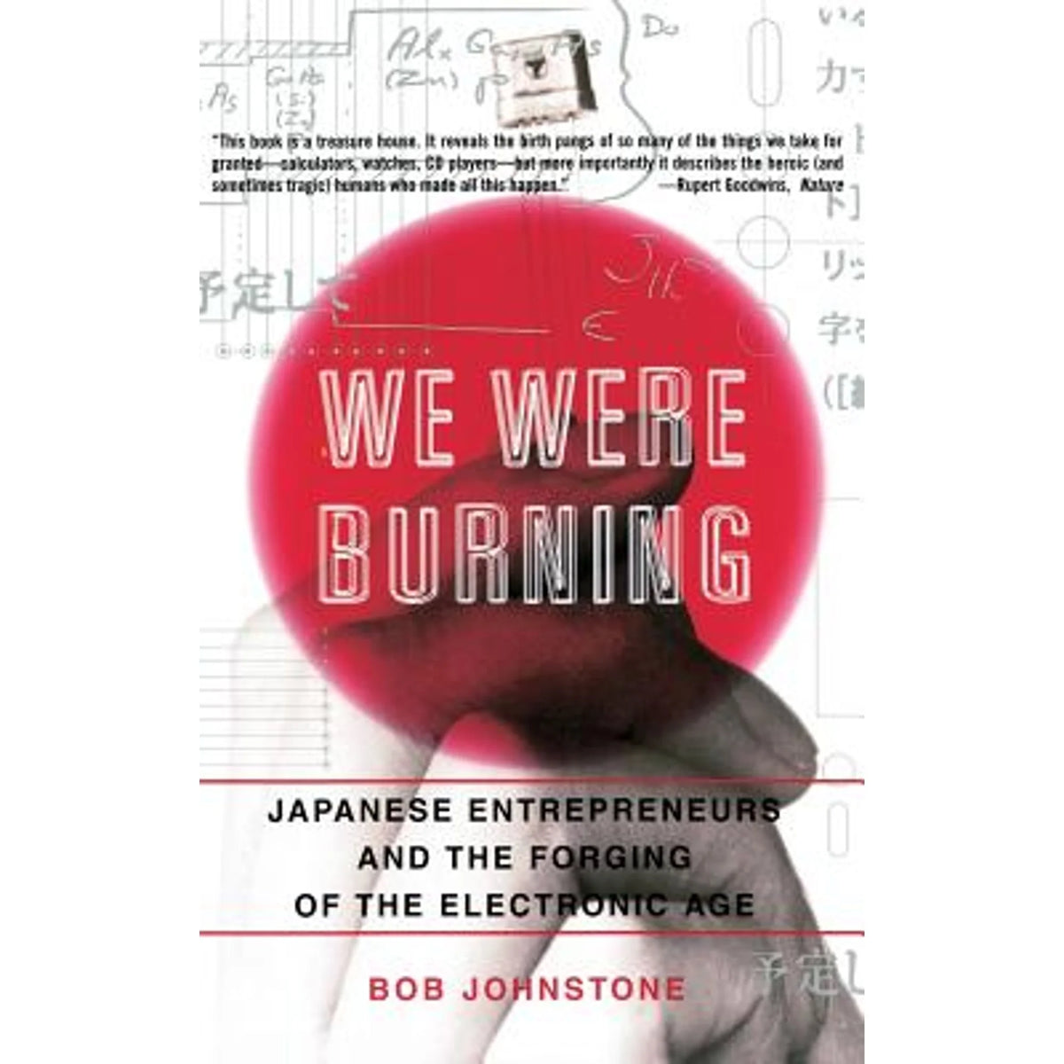 Japanese Entrepreneurs and the Electronic Age Paperback T582