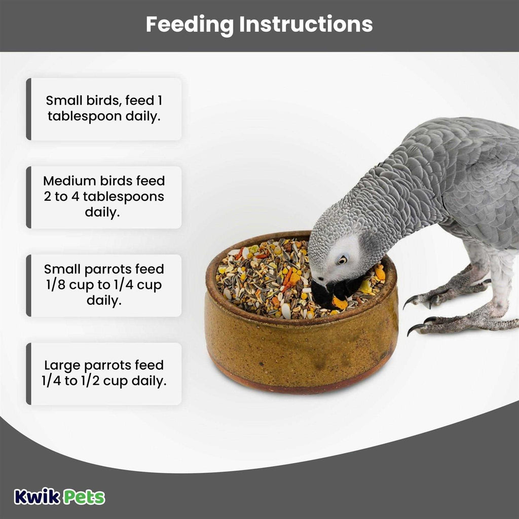 African Grey G787727