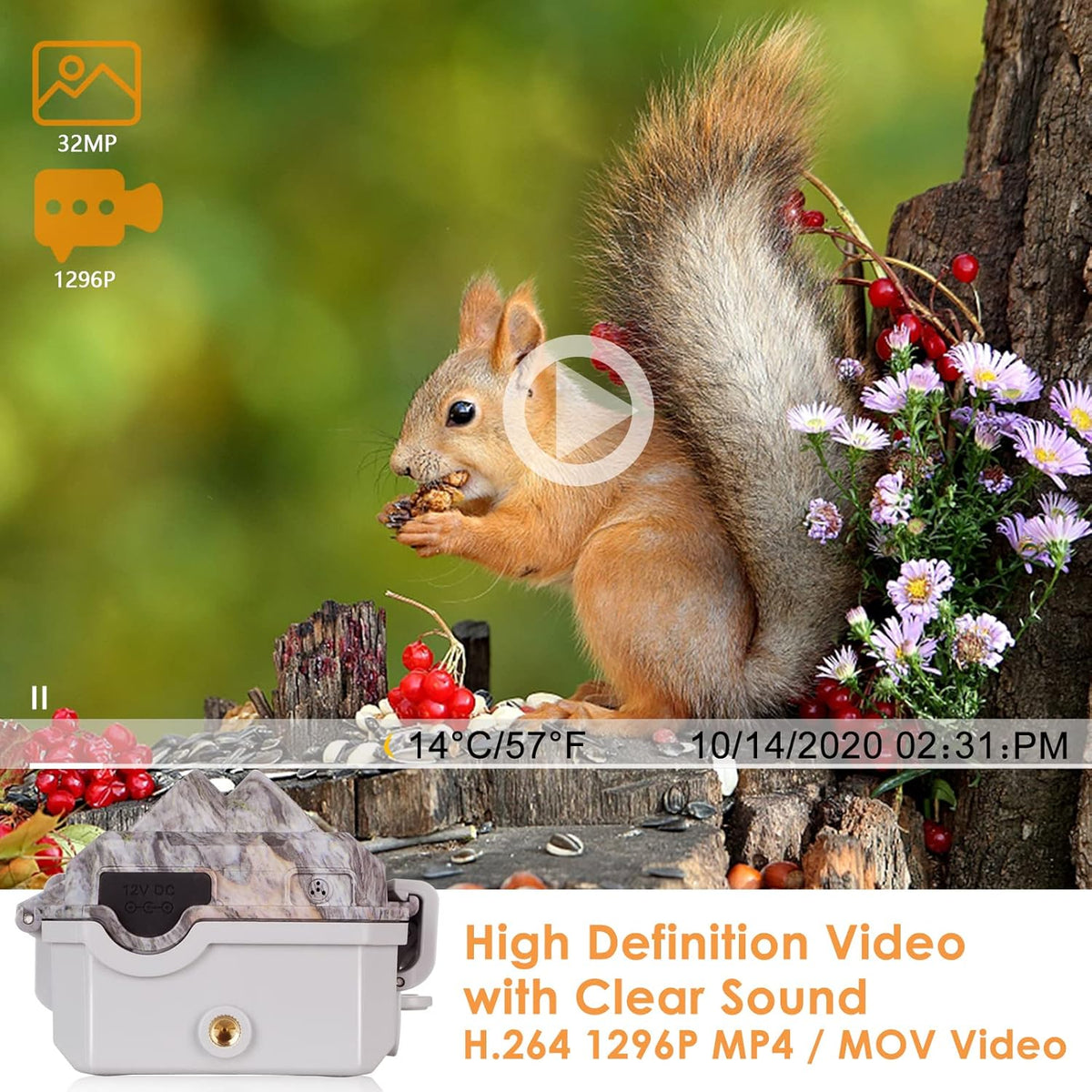 Deer & Trail Game Camera 32MP 1296P No Glow Night Vision Waterproof Motion Activated I261683