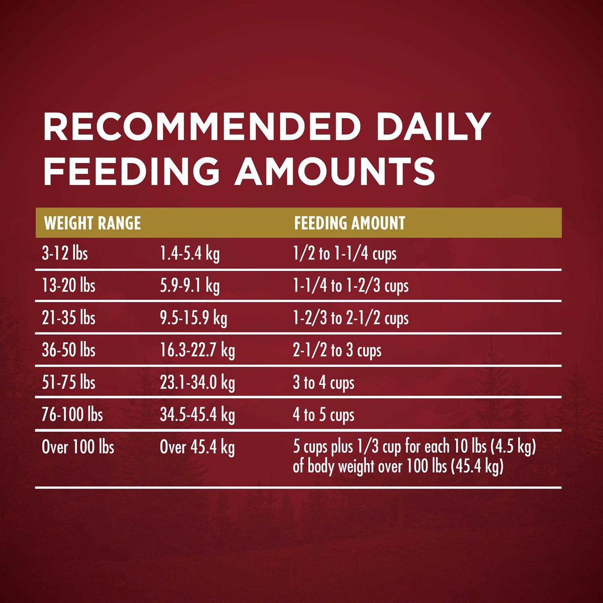 Dry Dog Food B196631