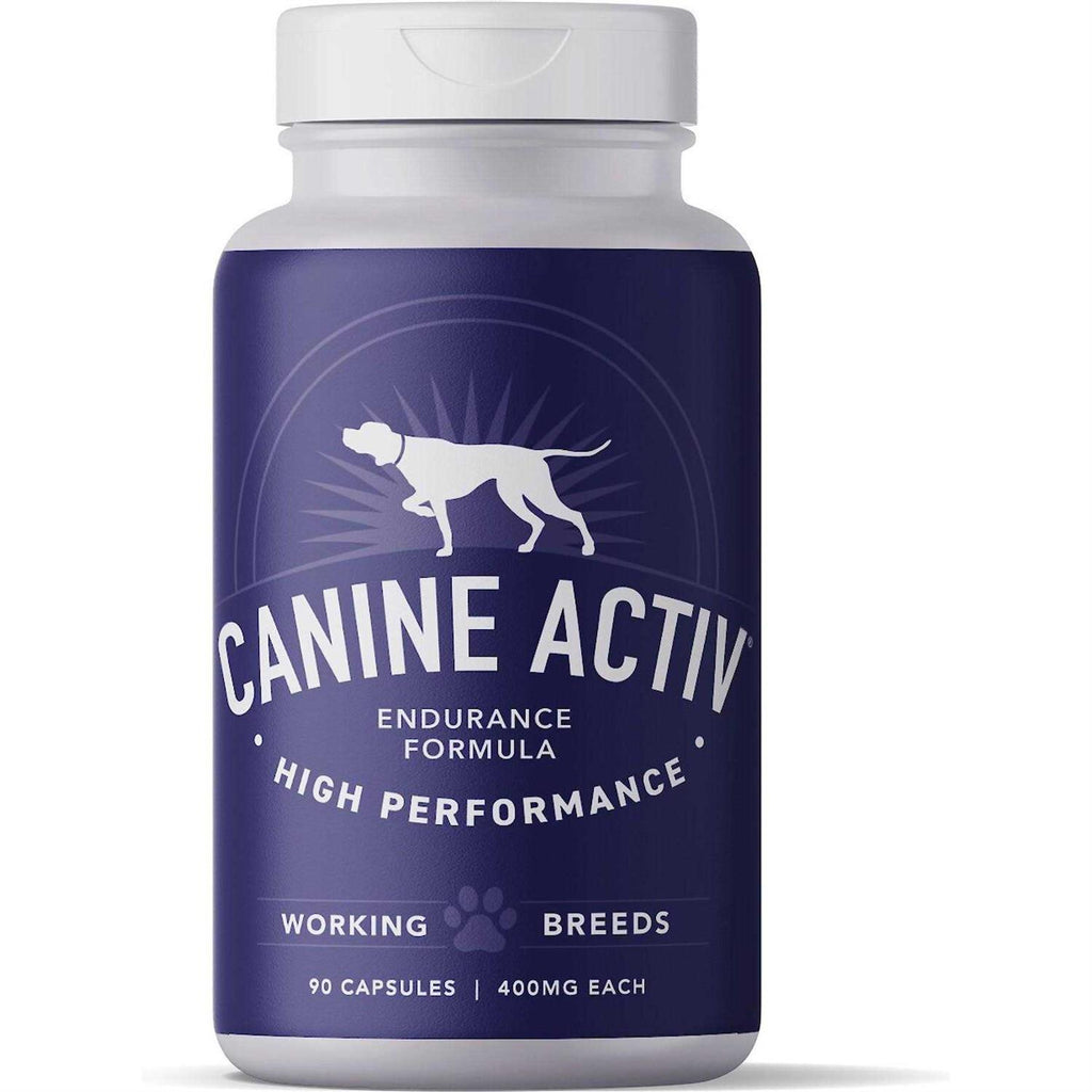 Canine Activ High Performance T31295