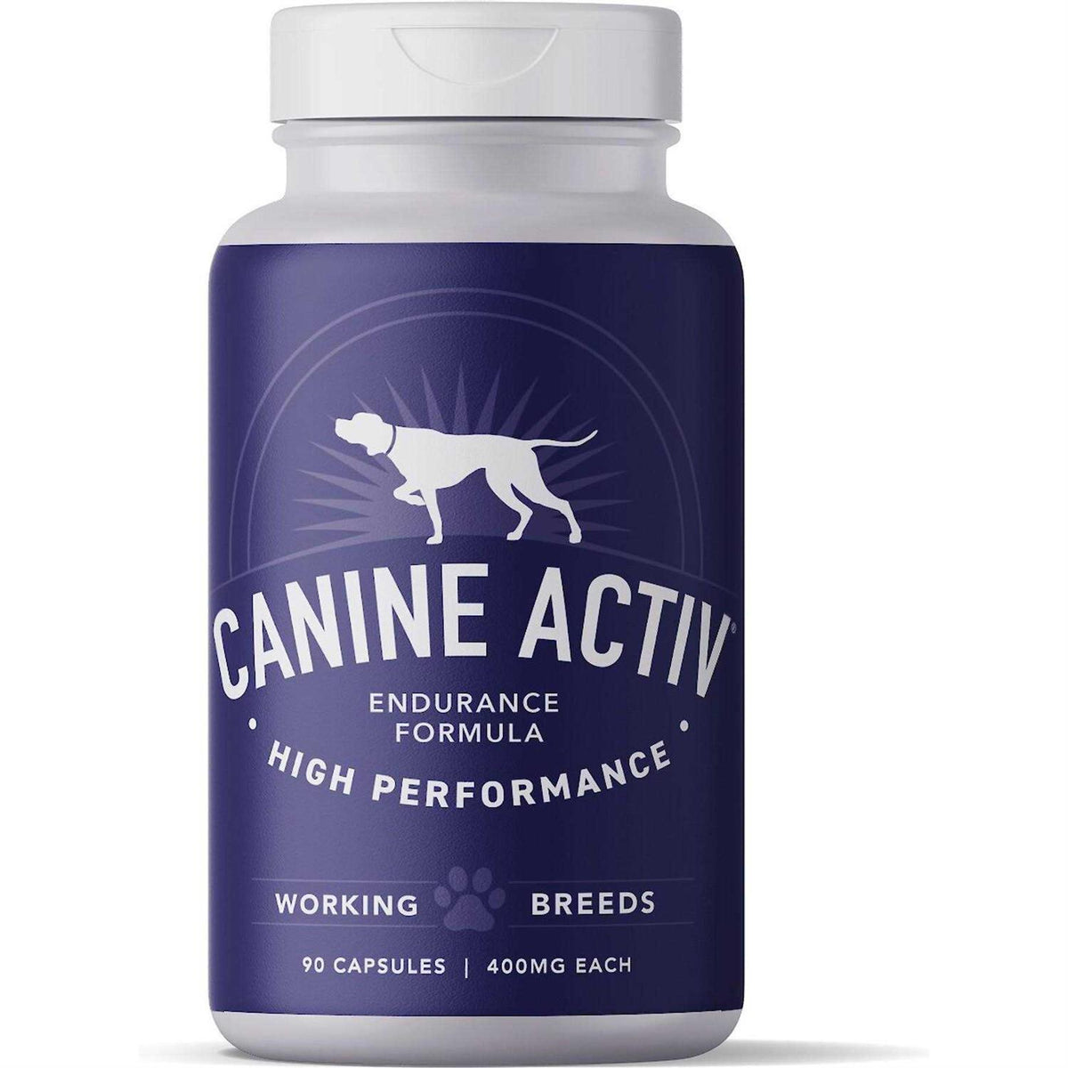Canine Activ High Performance T31295