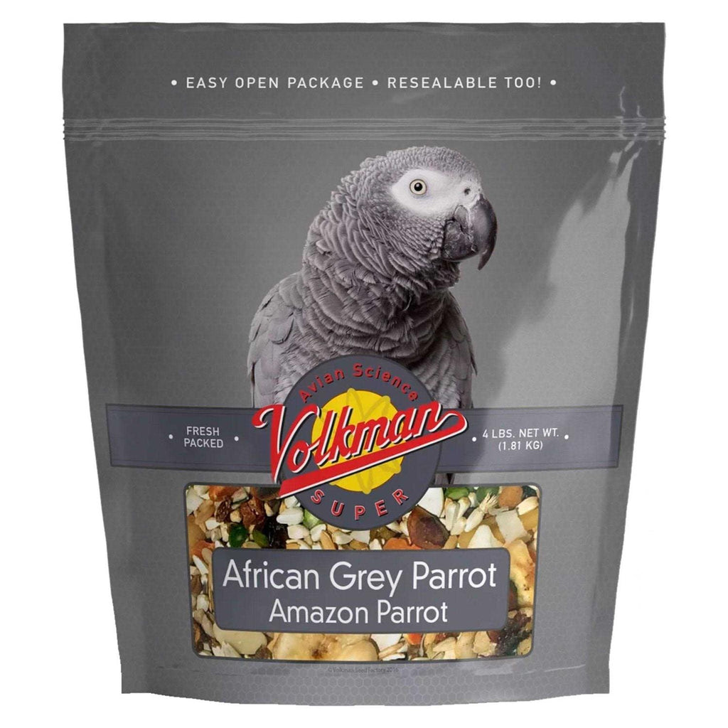 African Grey G787727