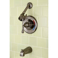 Vintage Nickel Bathtub and Shower Faucet U182198
