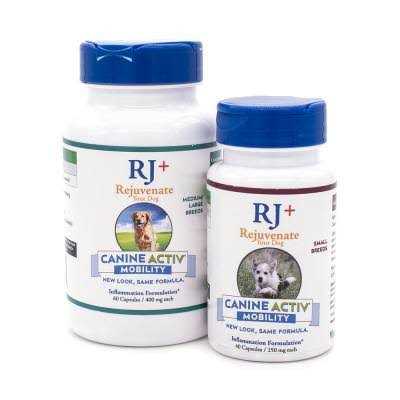 Canine Activ High Performance T31295
