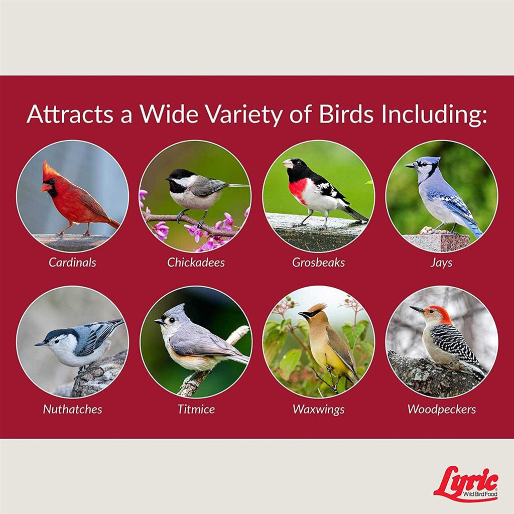 Fruit & Nut Wild Bird Mix U901736