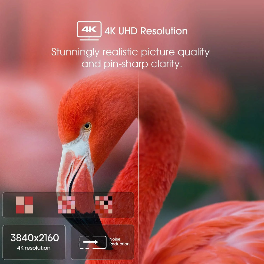 50-Inch 4K UHD Google Smart TV X9019