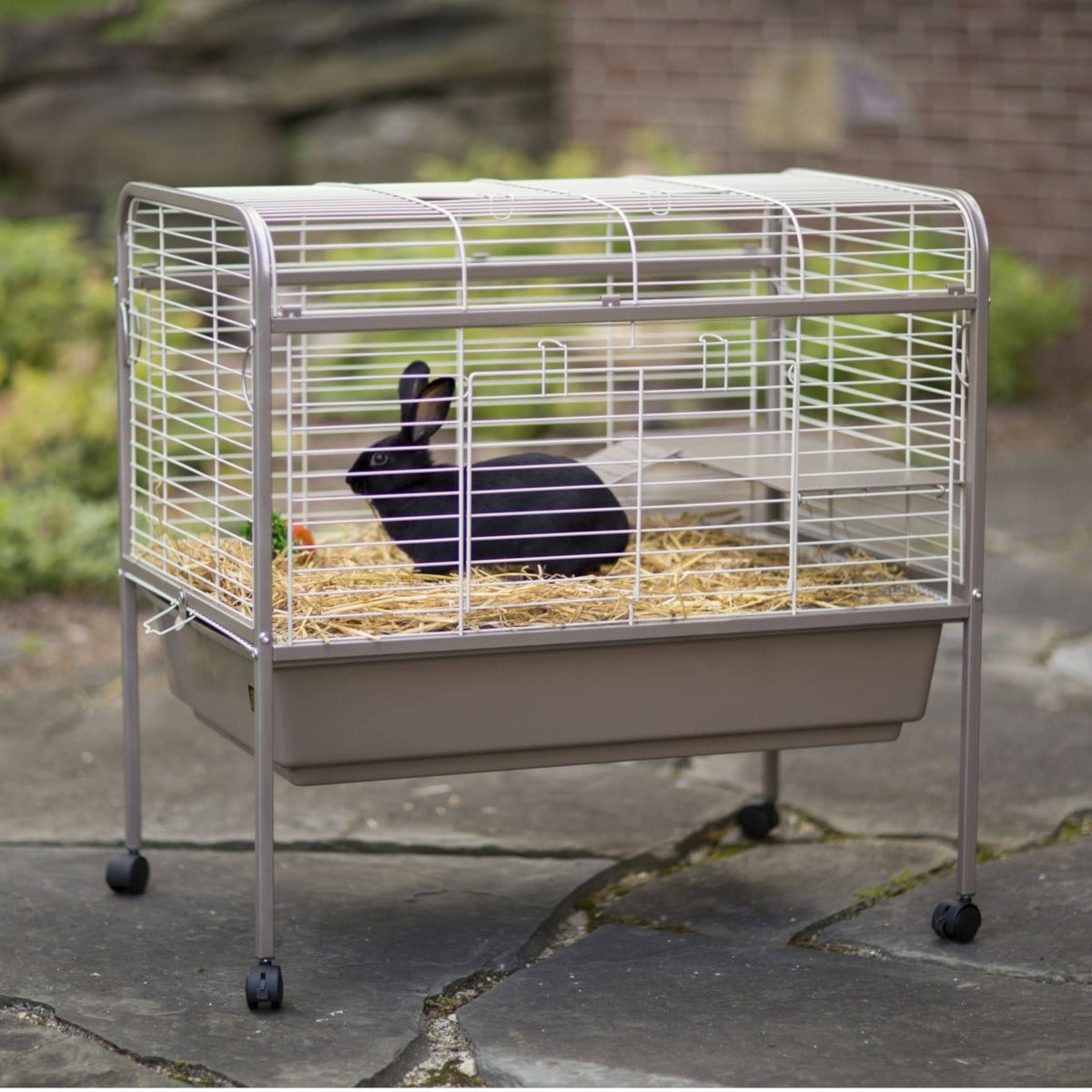 Small Animal Cage B9737
