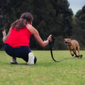 Leash M761