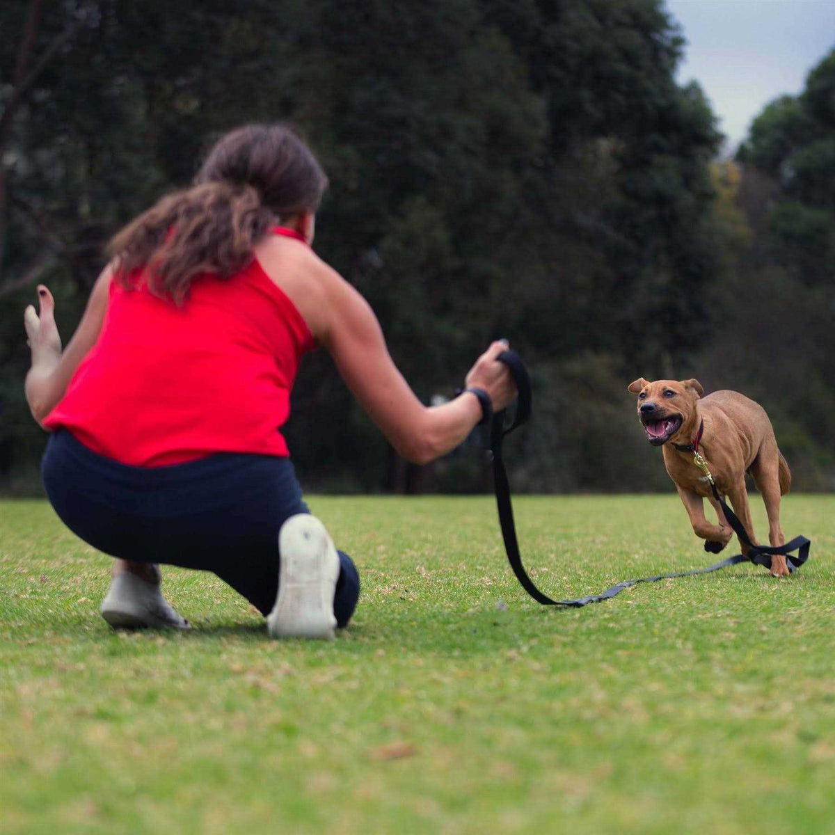 Leash M761