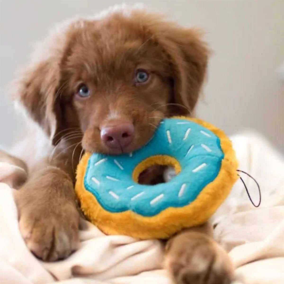 Donutz Dog Toy D193