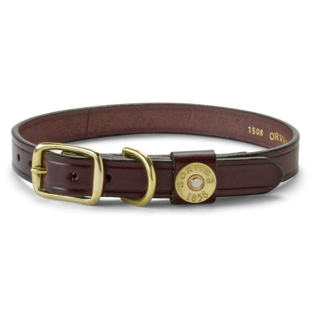 Dog Collar and Leash D49323
