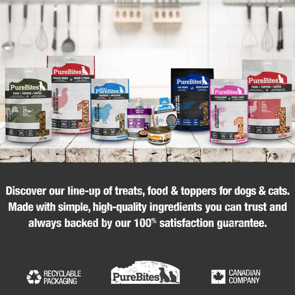 Freeze Dried Salmon Dog Treats M5173