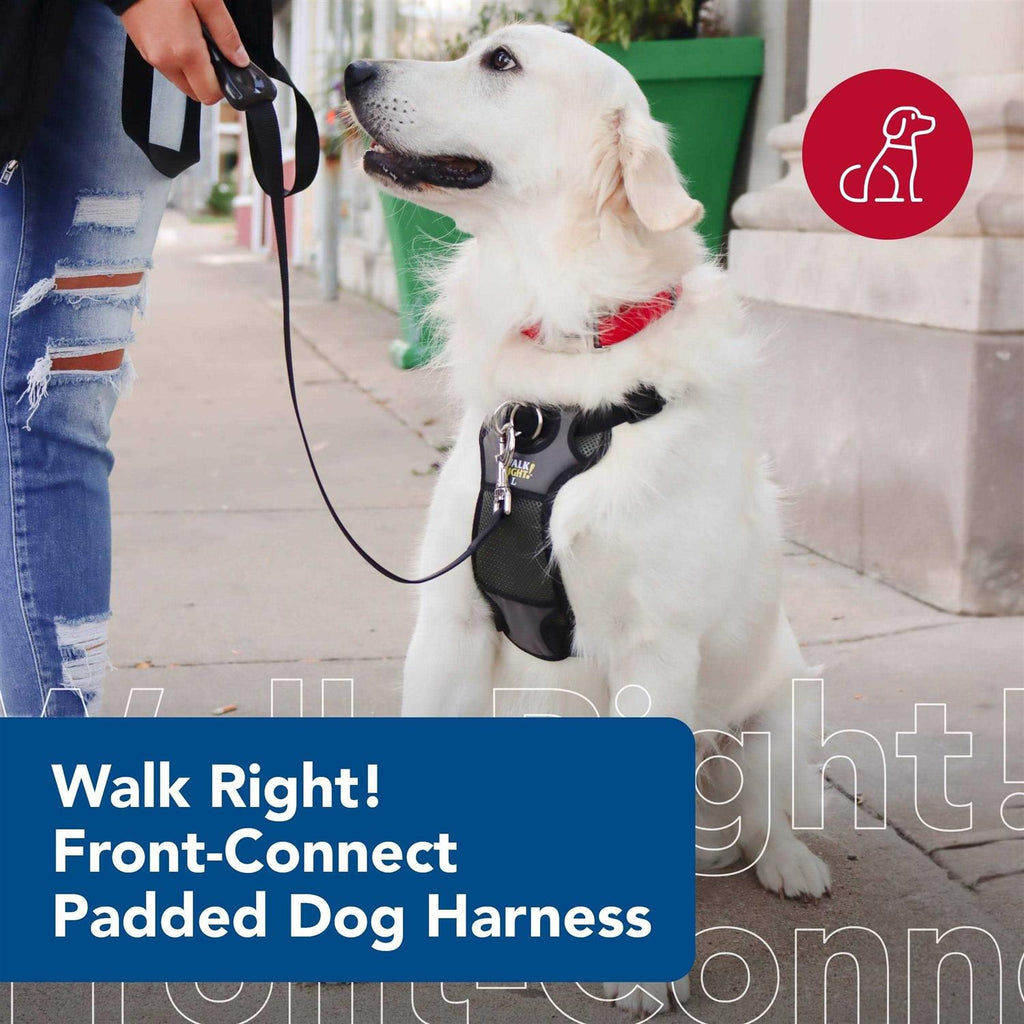 Padded Harness J224