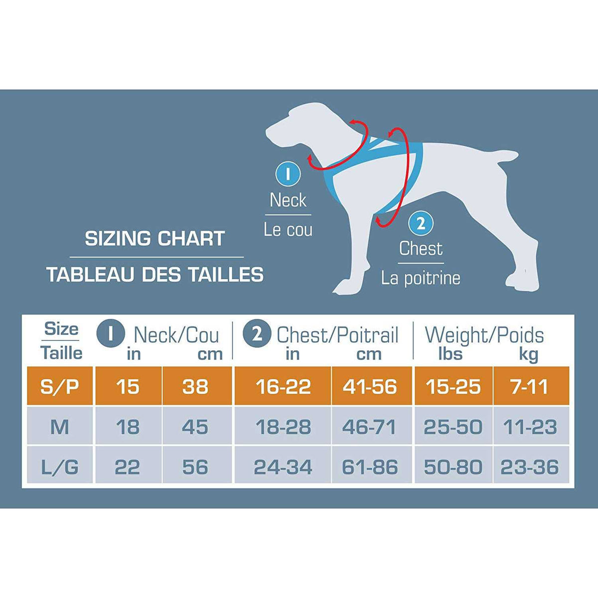 Dog Harness D89935