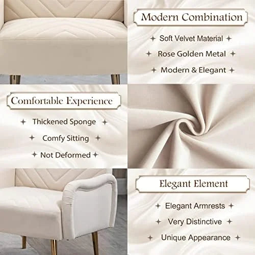 Modern Velvet Futon Sofa Bed with 2 Pillows C315