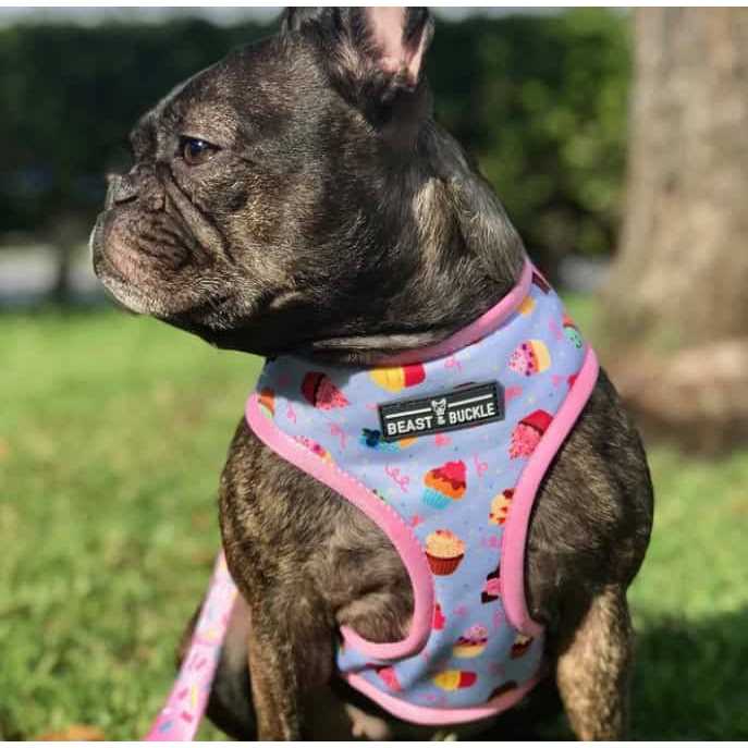 Reversible Dog Harness Q54412