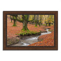 Framed Photograph Print P662182