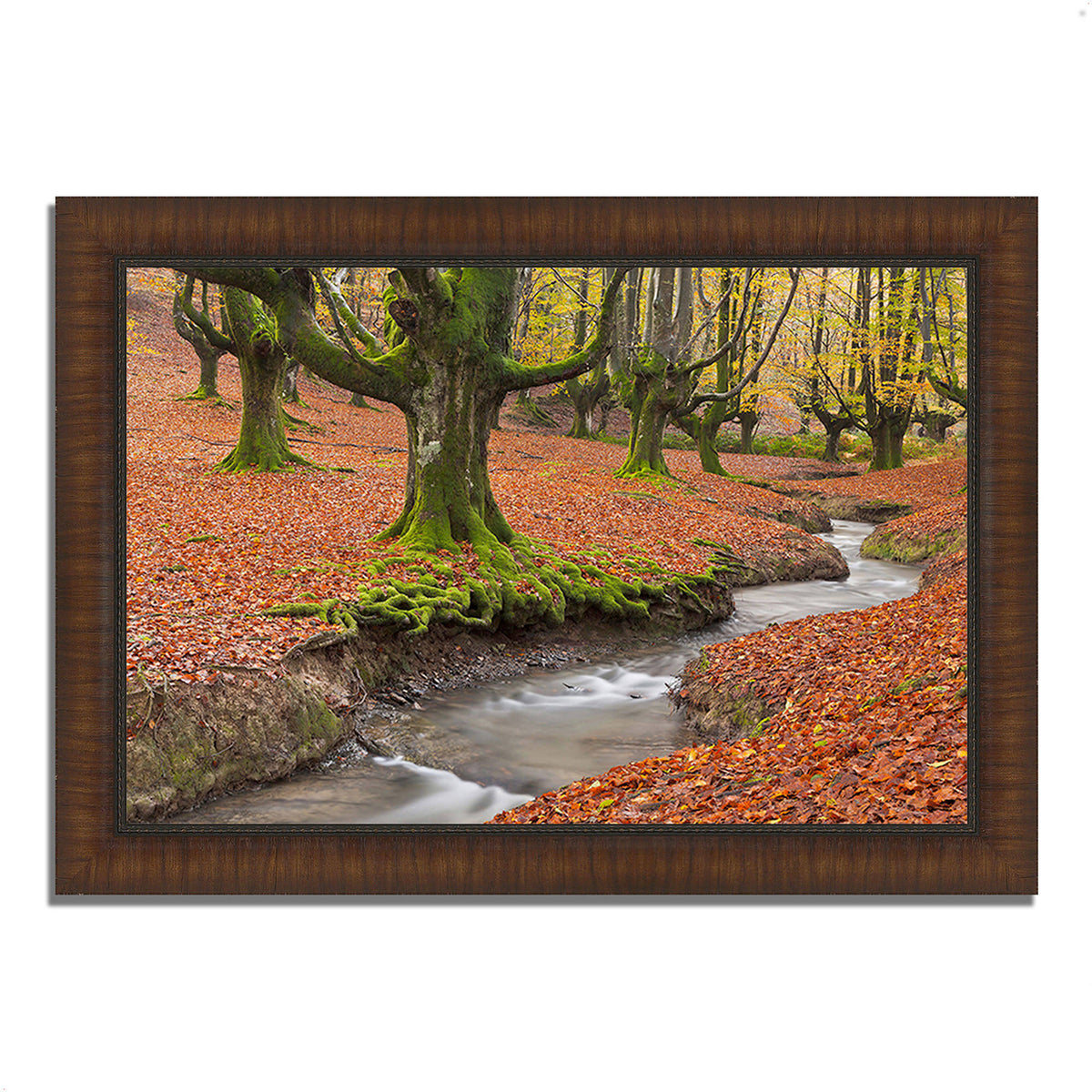 Framed Photograph Print P662182