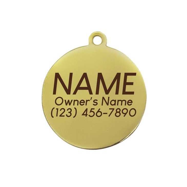 Lightning Bolt Pet ID Tag O770240