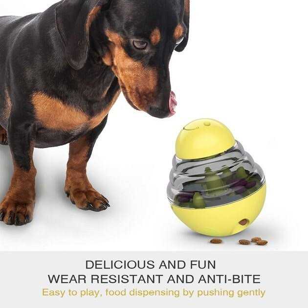 Toothbrush Dog Chew Toy T269634