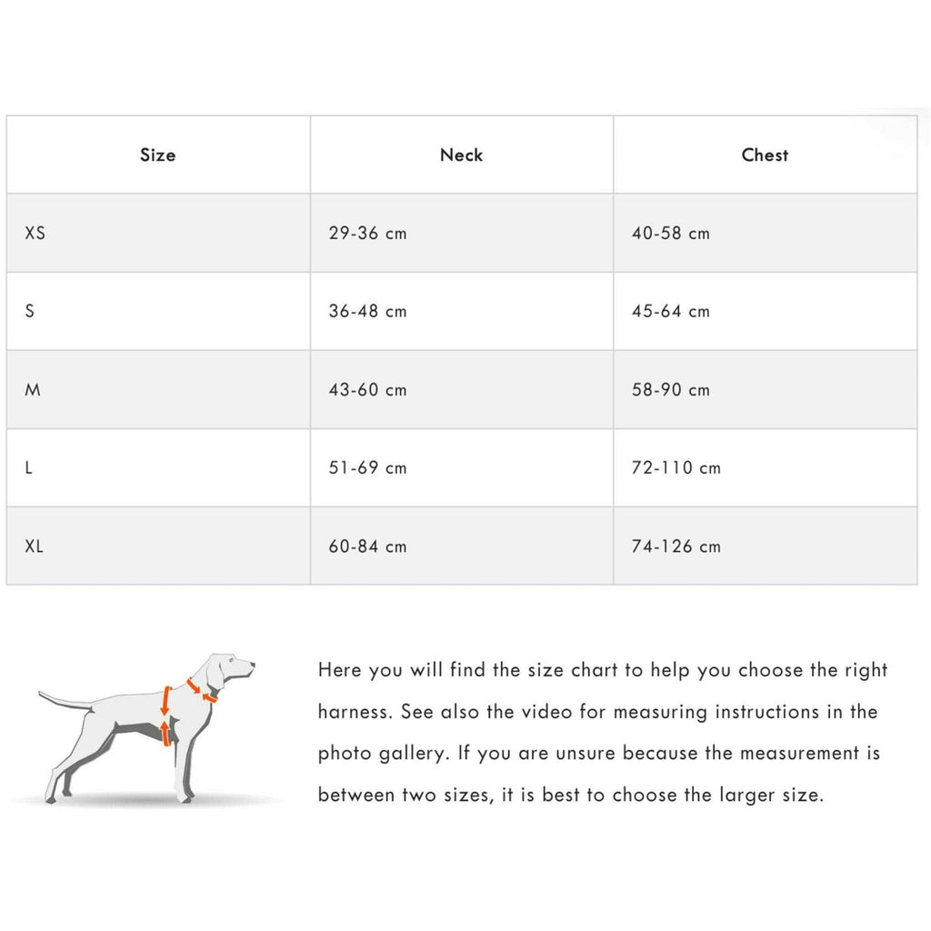 Dog Harness K581964