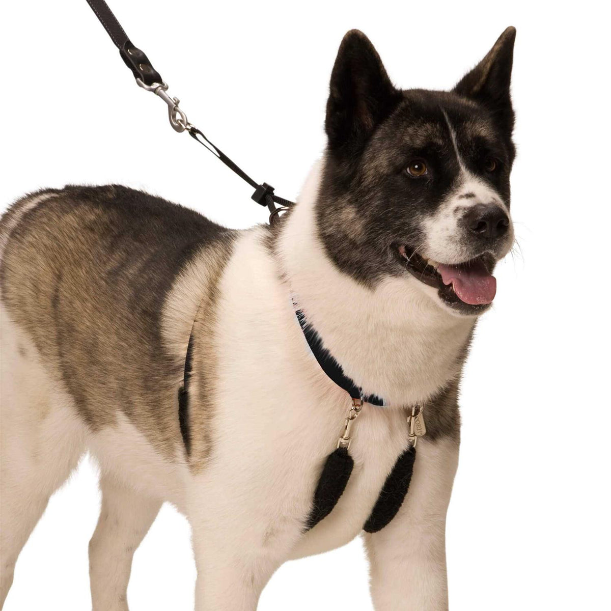 Halter M19156