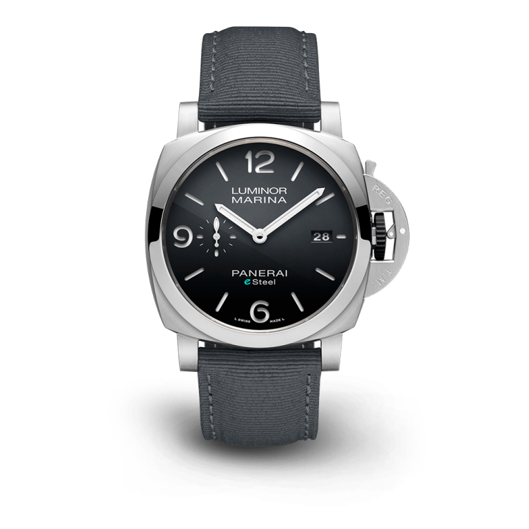 44mm Watch P309