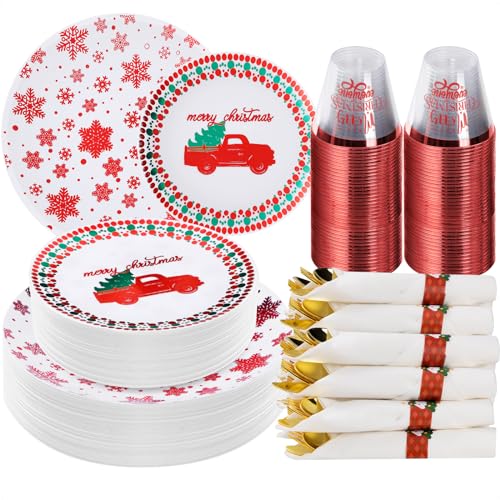 350 Piece Silver Plastic Dinnerware Set for 50 Guests K58161
