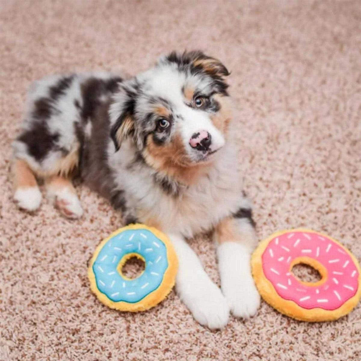 Donutz Dog Toy D193